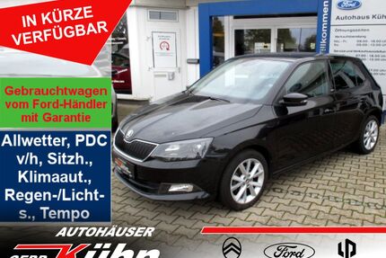 Skoda Fabia Gebrauchtwagen