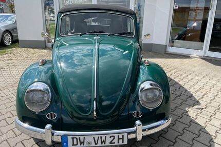 VW Käfer Gebrauchtwagen