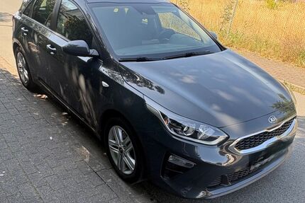 Kia ceed / Ceed Gebrauchtwagen