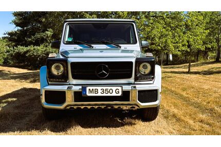 Mercedes-Benz G 350 Gebrauchtwagen