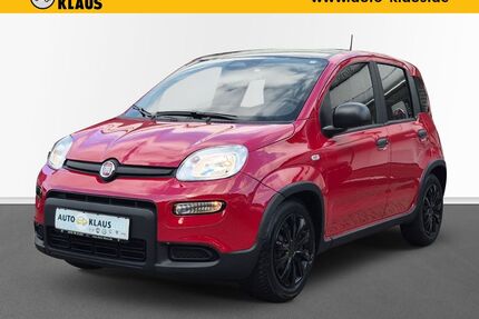 Fiat Panda Gebrauchtwagen