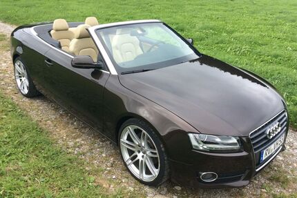 Audi A5 Gebrauchtwagen
