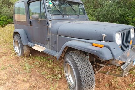 Jeep Wrangler Gebrauchtwagen