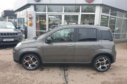 Fiat Panda Gebrauchtwagen