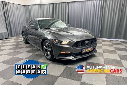Ford Mustang Gebrauchtwagen