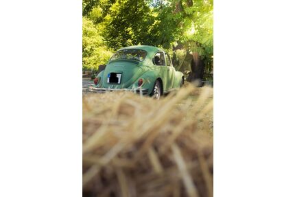 VW Käfer Gebrauchtwagen