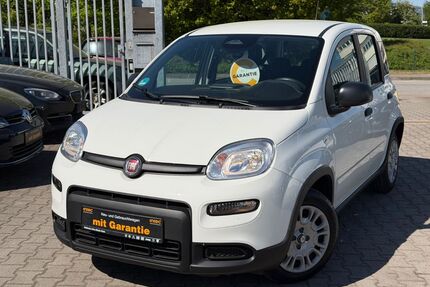 Fiat Panda Gebrauchtwagen
