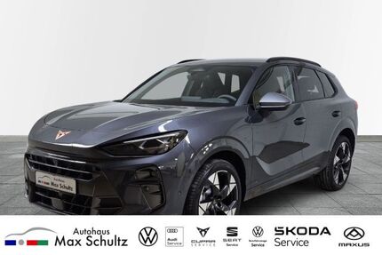 Cupra Terramar Gebrauchtwagen