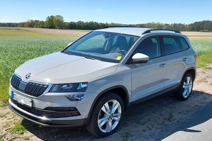 Skoda Karoq Gebrauchtwagen