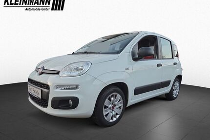 Fiat Panda Gebrauchtwagen