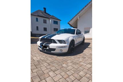 Ford Mustang Gebrauchtwagen