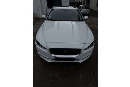 Jaguar XE Gebrauchtwagen
