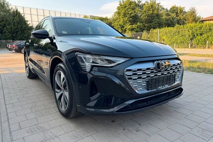 Audi Q8 e-tron Gebrauchtwagen