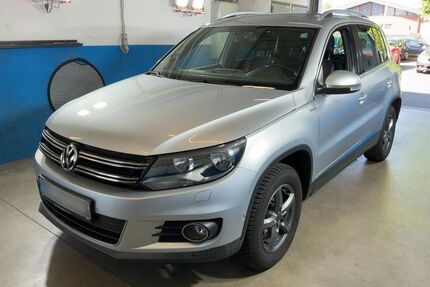VW Tiguan Gebrauchtwagen