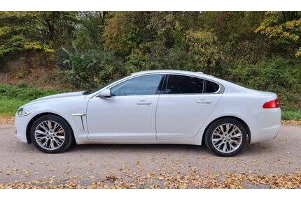 Jaguar XF Gebrauchtwagen