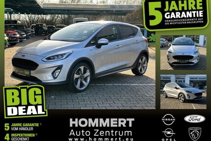 Ford Fiesta Gebrauchtwagen