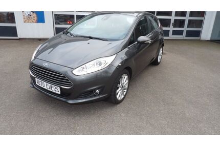 Ford Fiesta Gebrauchtwagen