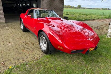 Corvette C3 Gebrauchtwagen