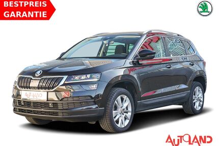 Skoda Karoq Gebrauchtwagen