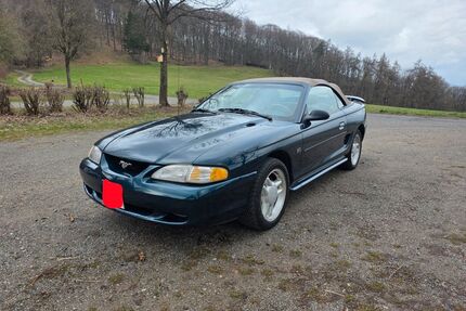 Ford Mustang Gebrauchtwagen