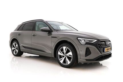 Audi Q8 e-tron Gebrauchtwagen