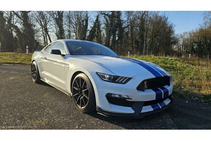 Ford Mustang Gebrauchtwagen