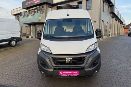 Fiat Ducato Gebrauchtwagen