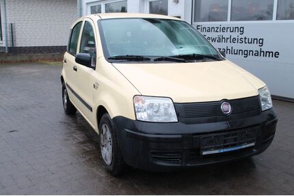 Fiat Panda Gebrauchtwagen