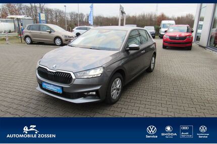 Skoda Fabia Gebrauchtwagen