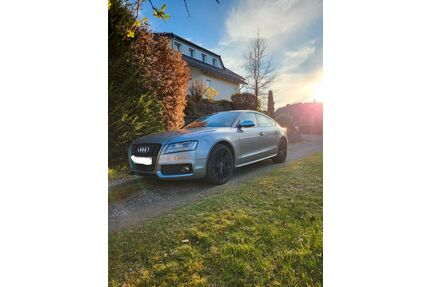 Audi S5 Gebrauchtwagen