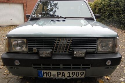 Fiat Panda Gebrauchtwagen