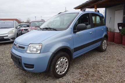 Fiat New Panda Gebrauchtwagen
