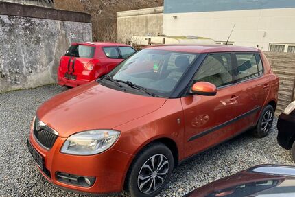 Skoda Fabia Gebrauchtwagen