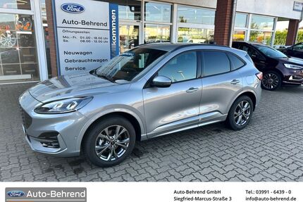 Ford Kuga Gebrauchtwagen