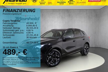 Cupra Terramar Gebrauchtwagen