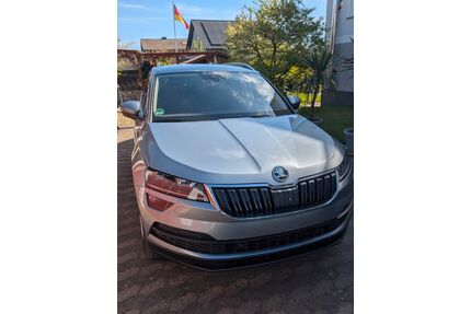 Skoda Karoq Gebrauchtwagen