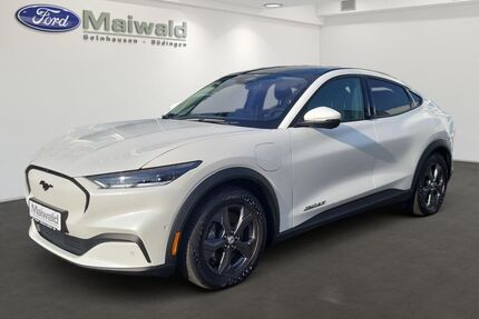Ford Mustang Mach-E Gebrauchtwagen