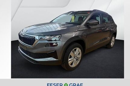 Skoda Karoq Gebrauchtwagen