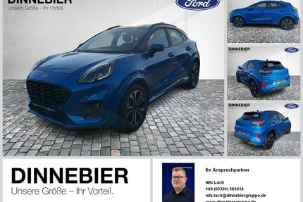 Ford Puma Gebrauchtwagen