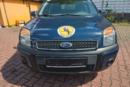 Ford Fusion Gebrauchtwagen