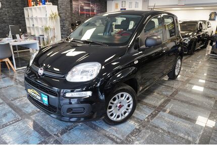 Fiat Panda Gebrauchtwagen