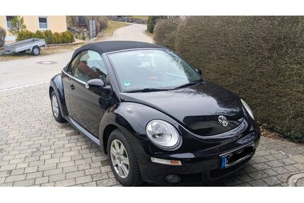 VW Beetle Gebrauchtwagen