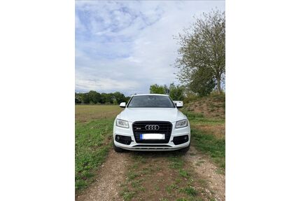 Audi SQ5 Gebrauchtwagen