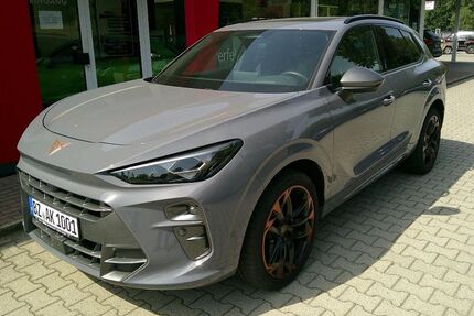 Cupra Terramar Gebrauchtwagen