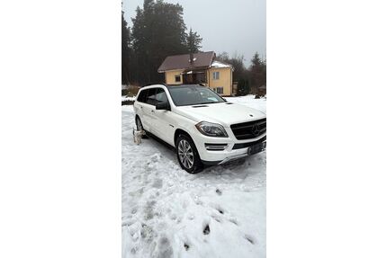 Mercedes-Benz GL 450 Gebrauchtwagen