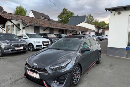 Kia ceed / Ceed Gebrauchtwagen