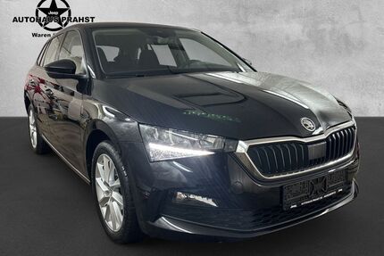 Skoda Scala Gebrauchtwagen