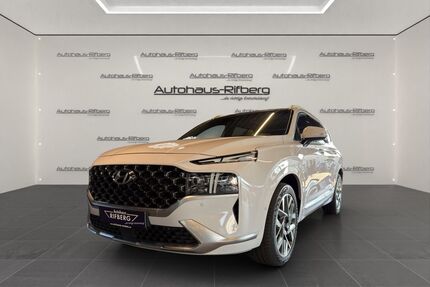 Hyundai SANTA FE Gebrauchtwagen