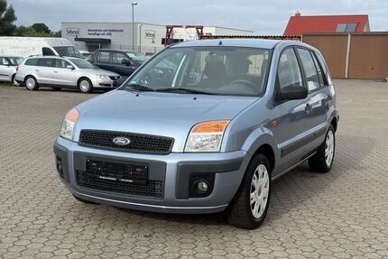 Ford Fusion Gebrauchtwagen