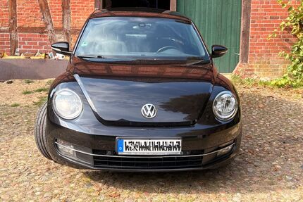 VW Beetle Gebrauchtwagen